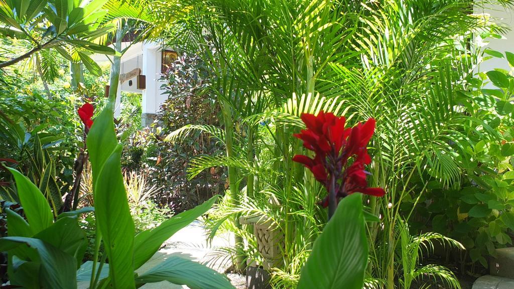 Ricel Homestay Gili Trawangan Exteriér fotografie