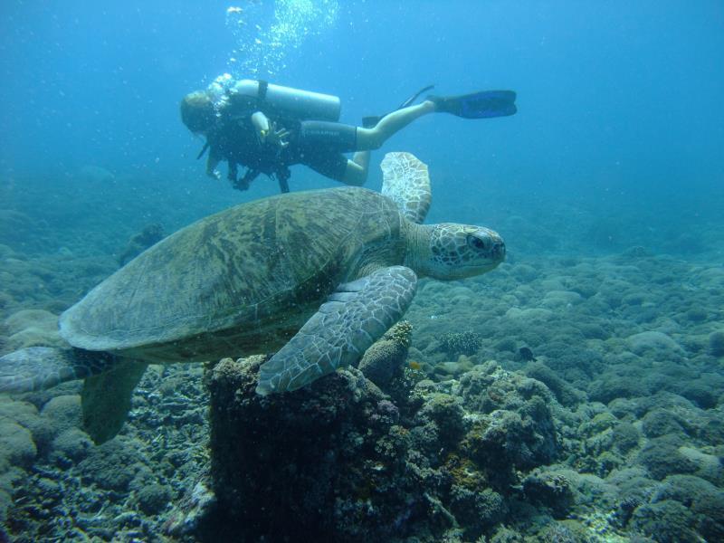 Ricel Homestay Gili Trawangan Exteriér fotografie